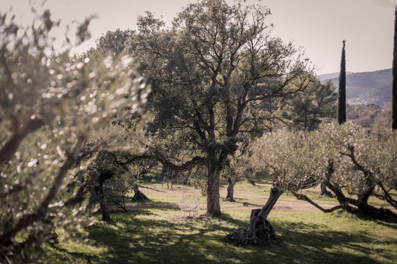 Les Hauts De Diane, Cuers Var 外观 照片