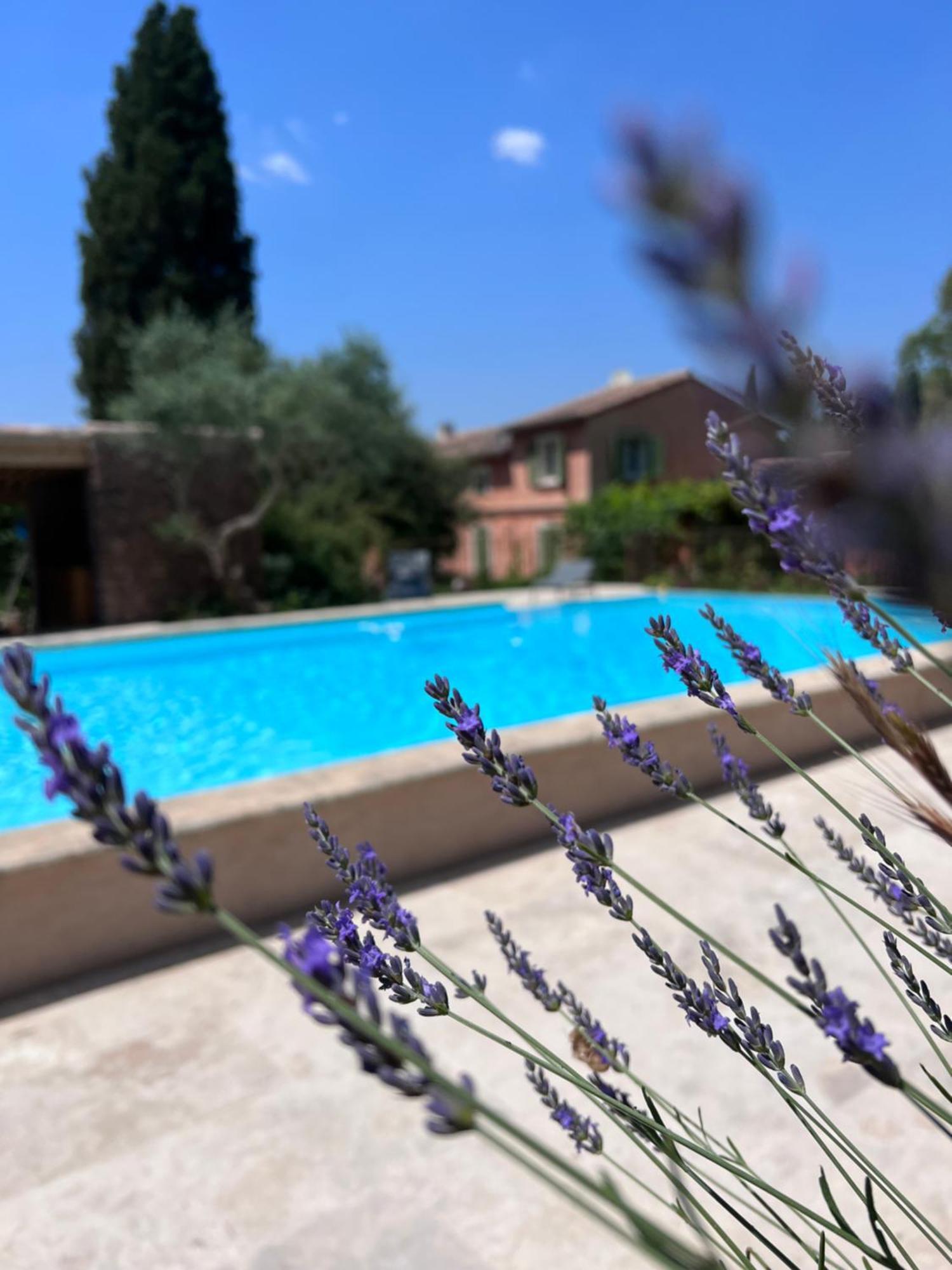 Les Hauts De Diane, Cuers Var 外观 照片